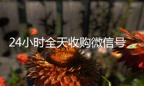 24小时全天收购微24小时全天收购vx信号（出售微信24小时在线回收）